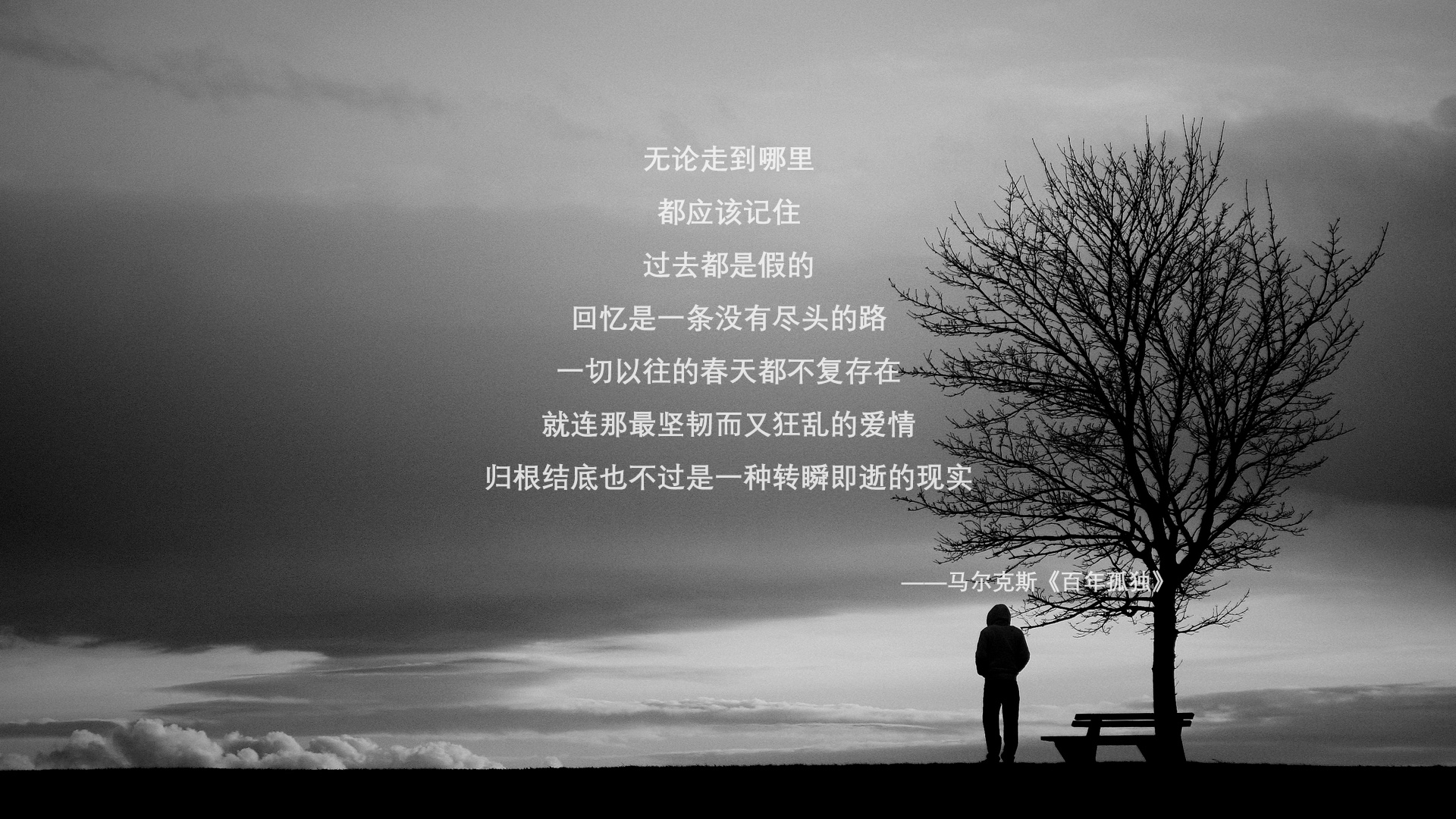 爱游戏娱乐平台-WNBA明星球员表现持续抢眼，wnba明星队