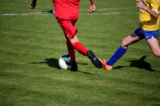 爱游戏数字体验-中超球员比赛热度曲线与表现匹配模型，中超热身赛