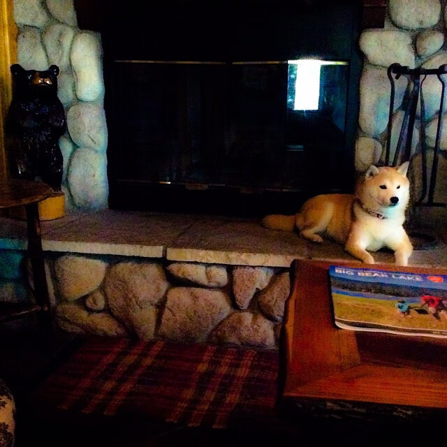 爱游戏平台-全国女子足球冠军杯争夺激烈，女足国际冠军杯