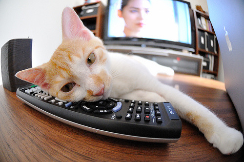 爱游戏体育-英超球队利用大数据分析优化传球成功率,英超联赛官方用球