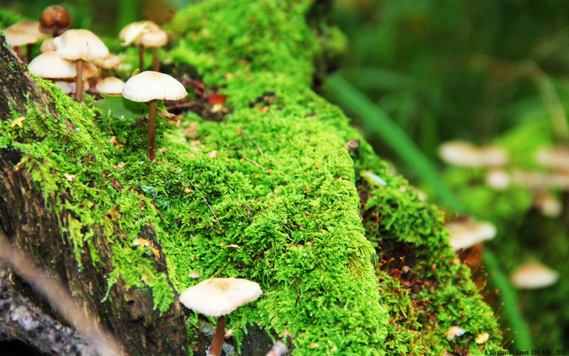 爱游戏体育-高校体育教师信息技术培训模式探索,高校体育教师信息技术培训模式探索论文