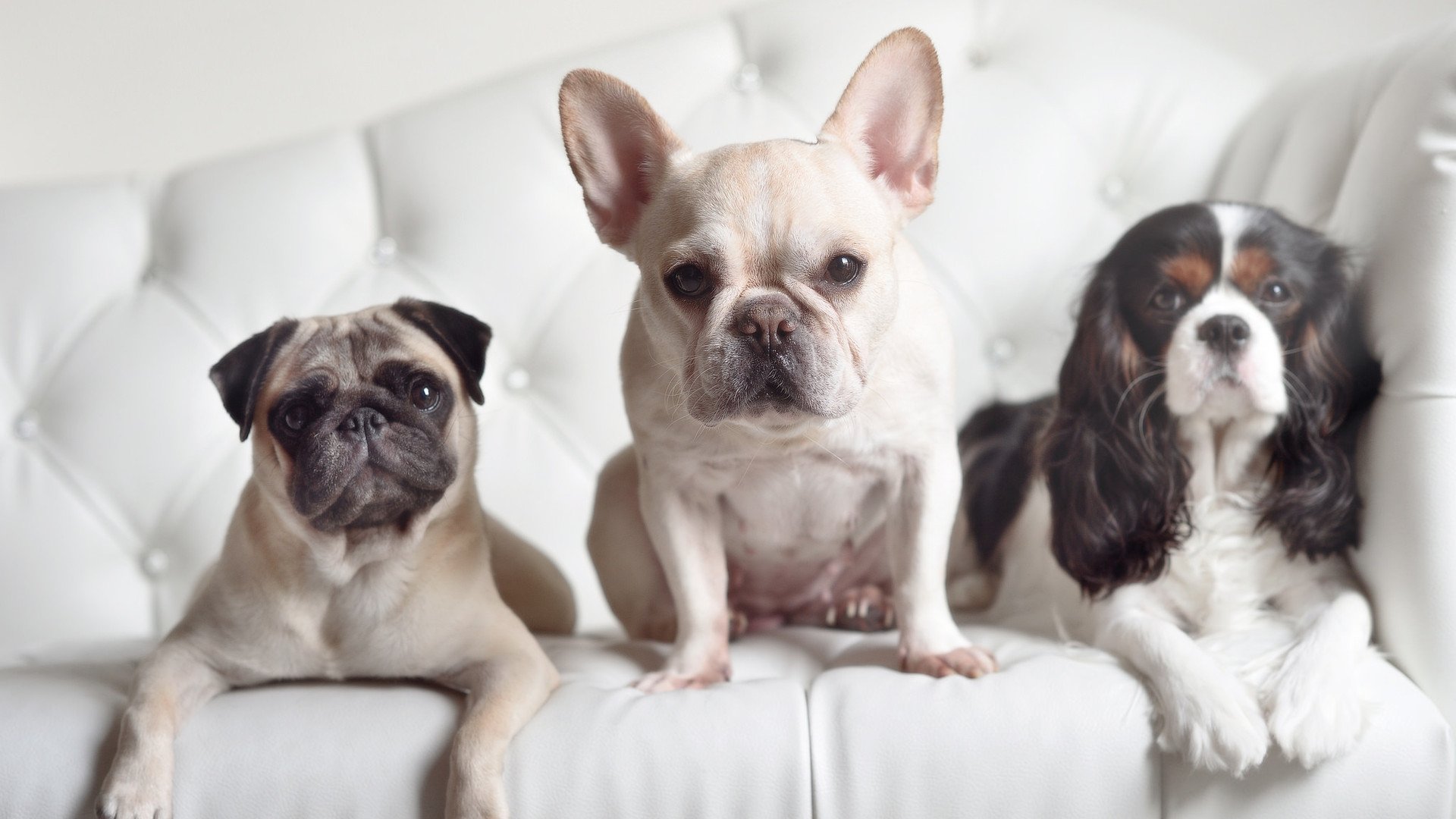 爱游戏在线-“沙滩手球：天府新区赛场迎来激烈速度对决”