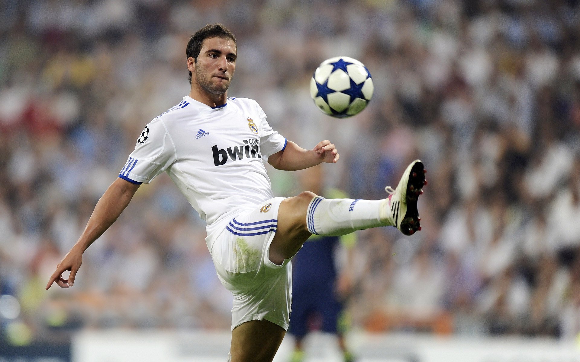 爱游戏娱乐平台-伊朗骑手阿里·巴赫蒂亚里在巴黎奥运会上与“Shahram”马匹共同夺得障碍赛银牌，展现默契配合。